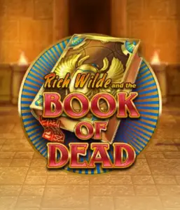 Embark on the thrilling world of Book of Dead Slot by Play'n GO, presenting vivid graphics of Rich Wilde's journey through ancient Egyptian tombs and artifacts. Discover lost riches with captivating mechanics like free spins, expanding icons, and a gamble option. Ideal for adventure enthusiasts with a desire for exciting finds.